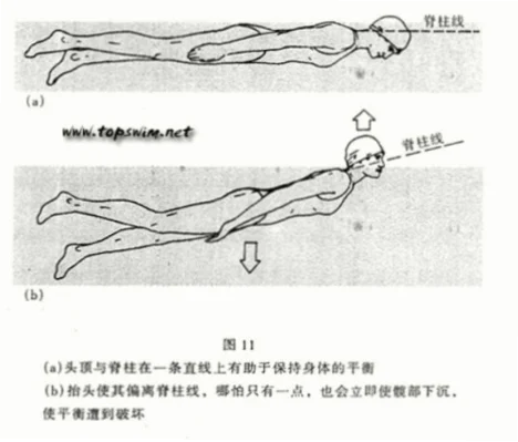 如何让髋部贴近水面？视线垂直天花板技巧